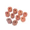 10Pcs Anlage Ring Aquarium Feste Wassertank Weightsholder Pflanzen Befestigung Werkzeug
