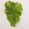 Artificial Lettuce Leaf for Display and Decoration - Large Fake Vegetable and Fruit Model