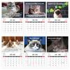 Cartoon Animal Pissed-off Cats Calendar 12 Month Working Dog Planner Wall Calendar  Home Decoration