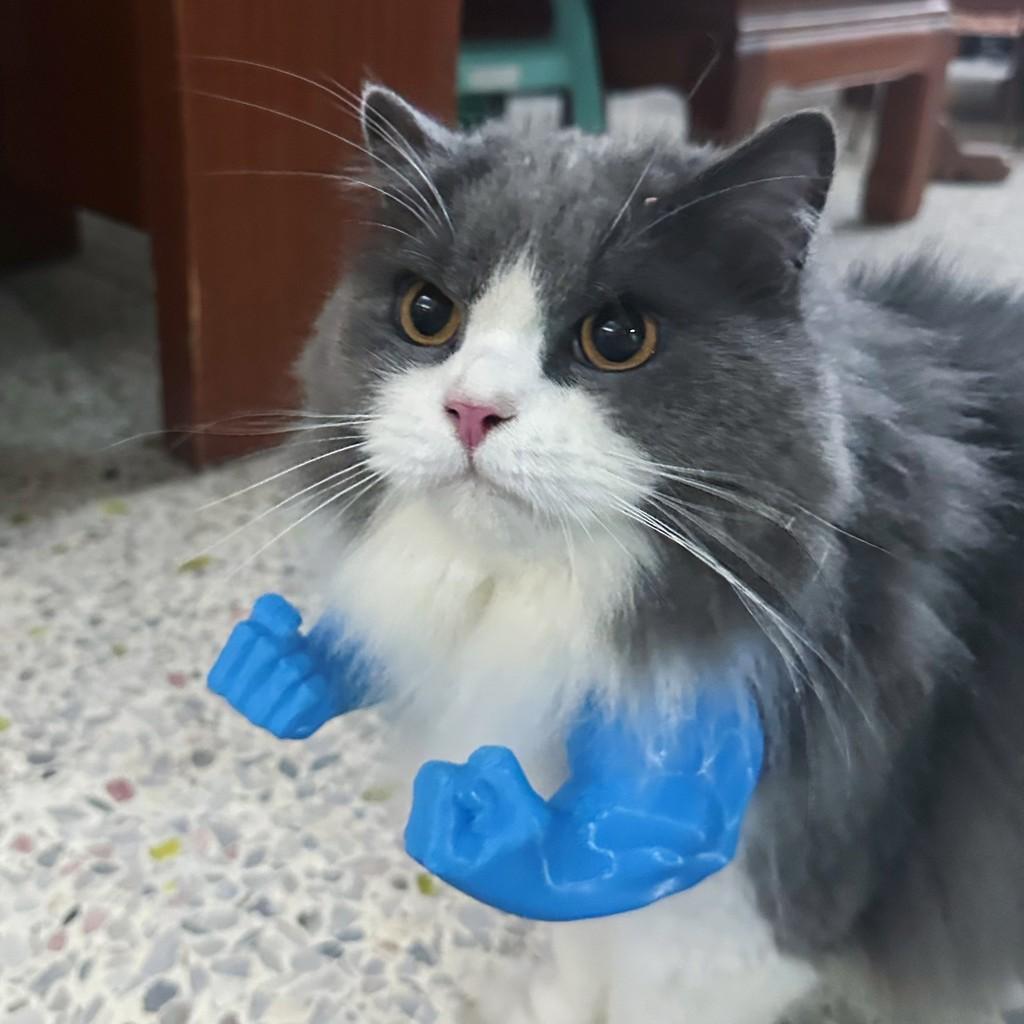 Grüner Riese Arm Haustier Spielzeug Set Mit Petg Material Für Kleine Und Mittlere Katzen
