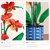 Building Blocks Set Orchid Flowers Bouquet Flower Blocks Bonsai Plant Model Bricks DIY Home Decoration Toys Kids Chirstmas Gifts