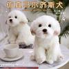 Simulation Malteser Hund Puppe Hund Puppe Niedlicher Labrador Plüschtier Puppe Bichon Hund Ornament