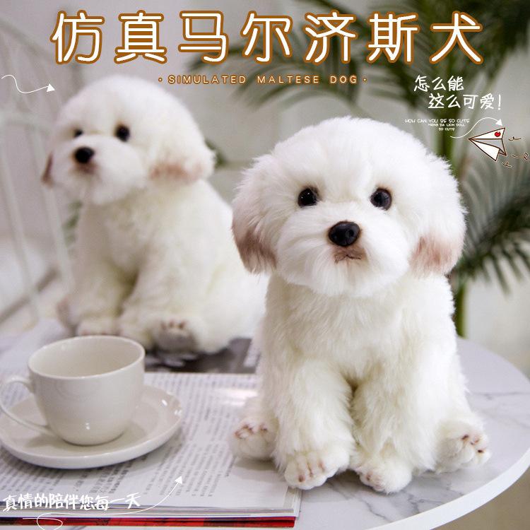 Simulation Maltese Dog Doll Dog Doll Cute Labrador Plush Toy Doll Bichon Dog Ornament