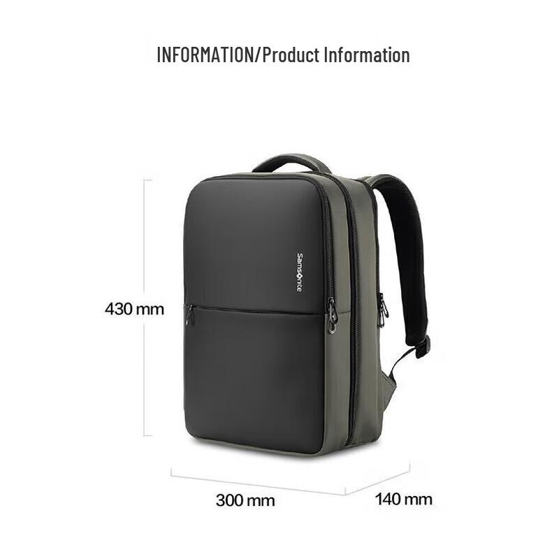 Samsonite Business Laptop Backpack