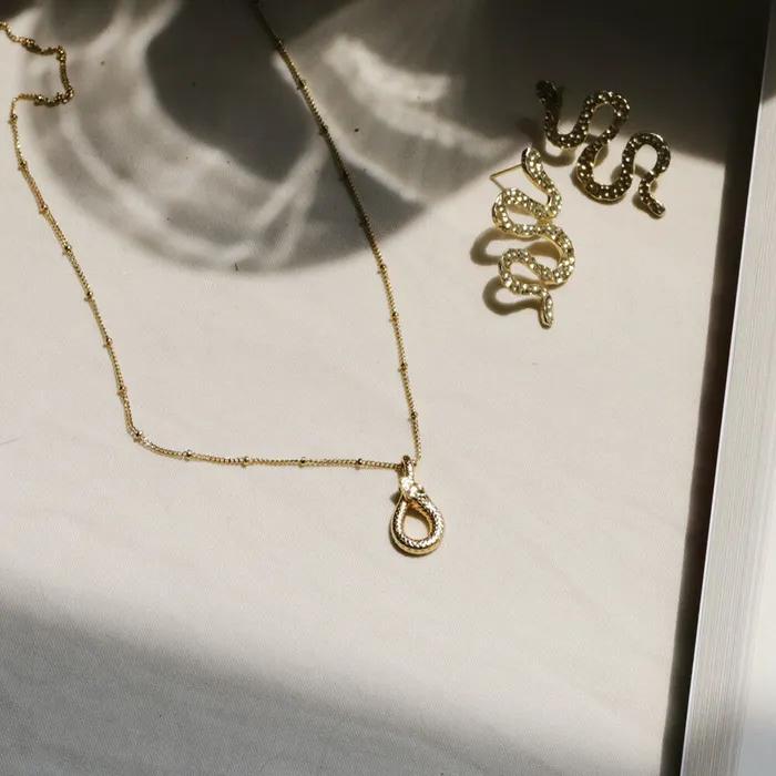 Circle Snake Necklace