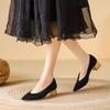Flying Weaving Spring and Autumn New Wood Grain Thick Heel Pointed Single Shoes Breathable Casual Versatile Single Shoes