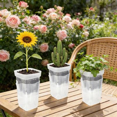 Saugfähiger Blumentopf mit transparentem doppelwandigem Wasserreservoir, verstellbares Design, 150 ml, tiefe Feuchtigkeitsglocke, Belüftung, Pflanzenvermehrungstopf