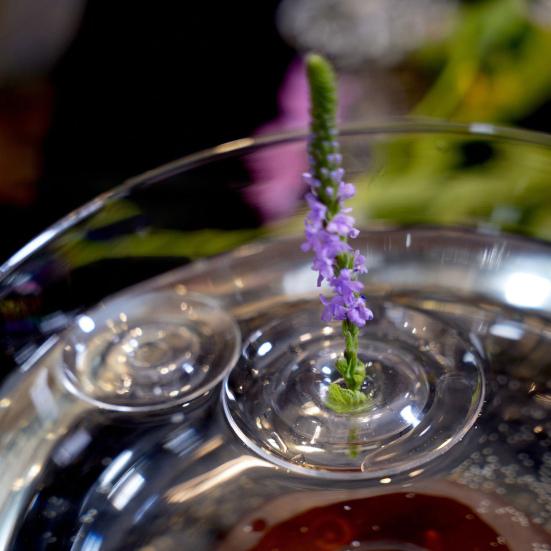 Floating Flower Stem Holder Clear Floral Arrangement Holder Floating Flower Vase