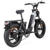 Cyrusher Kommoda 3.0 Adult Outdoor E-Bike 48V20AH Battery 250W Motor City Electric Mountain Bike 20 Inch Off-Road Tires Electric Bicycle