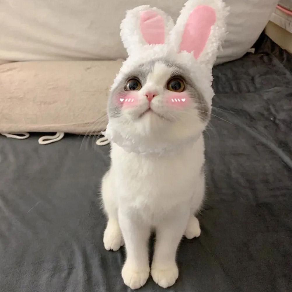Lustige Katzenkopfbedeckung, süße Hasenohren-Kappe, Haustier-Plüsch-Hasenohren, Katzen, Hunde, Performance-Requisiten, Cosplay-Kostüme, Katzenbedarf