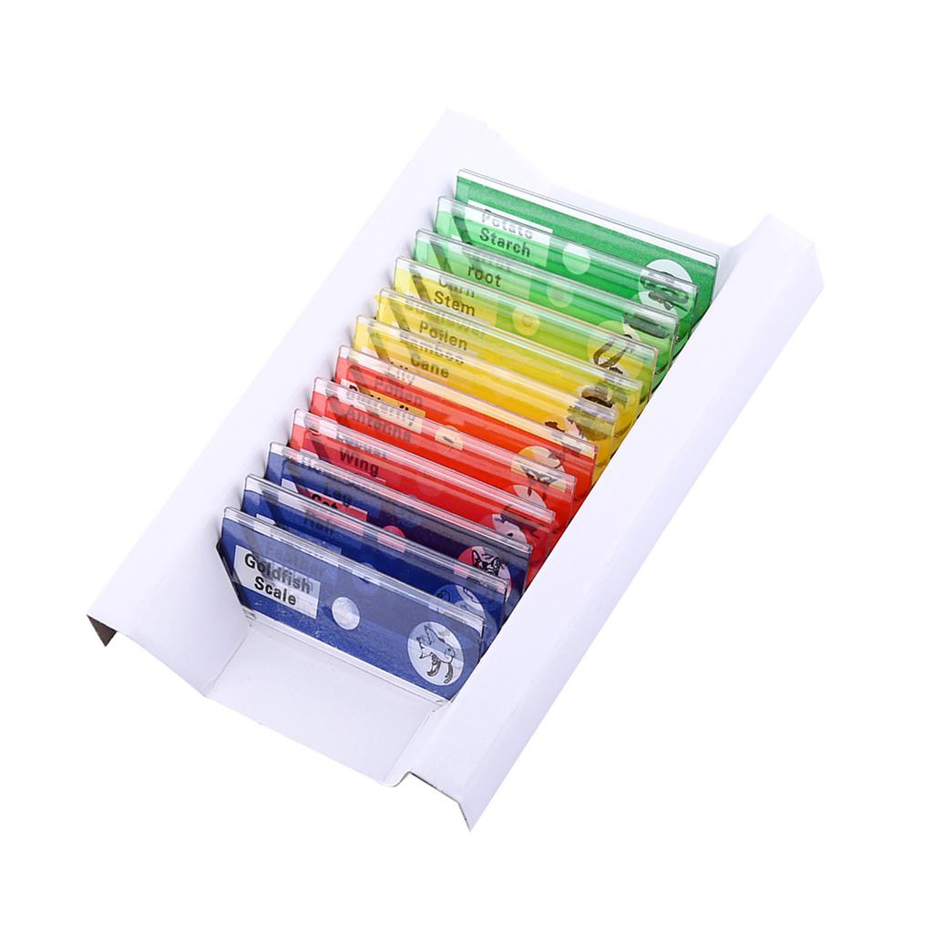 12pcs Plastic Prepared Microscope Slides Animals Insects Flowers Plants Red box