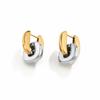Salircon Luxury Stainless Steel 18K Gold Plated Drop Earrings Women Unique Creative Lock Pendant Earring Wedding Banquet Jewelry