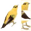 Garden Artificial  Ed Animal Ornament Simulation Oriole Bird Model Art Outdoor Decor