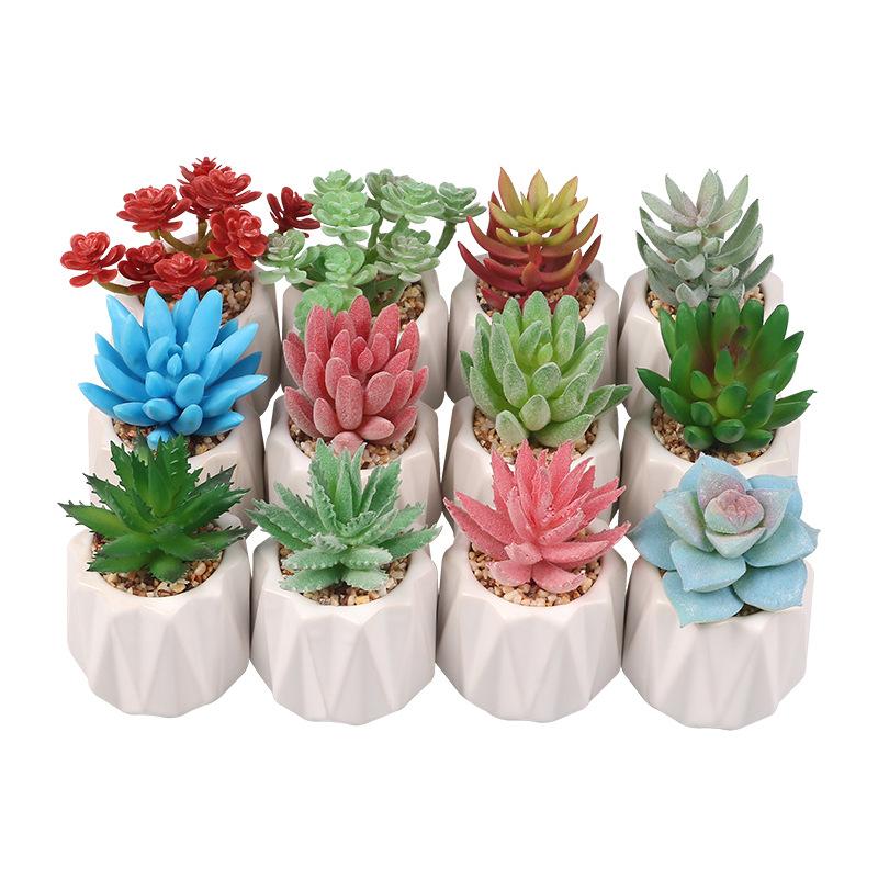 Small, Wavy Cup-Shaped Simulated Succulent Plant Potted Plant, Nordic Office Furniture Fresh Decoration