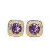 Amethyst Stud Earrings with S925 Silver Inlay - Natural Amethyst Women's Earrings with Earring Pendants.