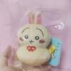 Usagi Sunny Sky Plush Toy With Soft Pp Cotton For Kids Gift And Decoration
