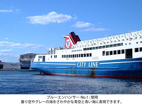 Kenko Lens Filter Blue Enhancer No. 1 67mm for Color Enhancement (316740)