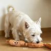 Dog Toy Chewable Durable Noise-making Paper Squeaky Plush Sausage Companion for Entertainment for Small-sized Dog Pets' Supplies