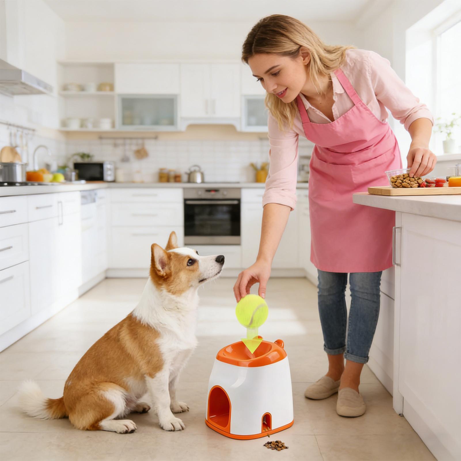 

Ball Thrower For Dogs Interactive Training Toy Ball Thrower Fetch Machine With Treat Dispenser For Apartment Living Room Home China Mainland