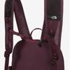 The North Face Stream 12 Backpack Deep Violet Nm2sr61c
