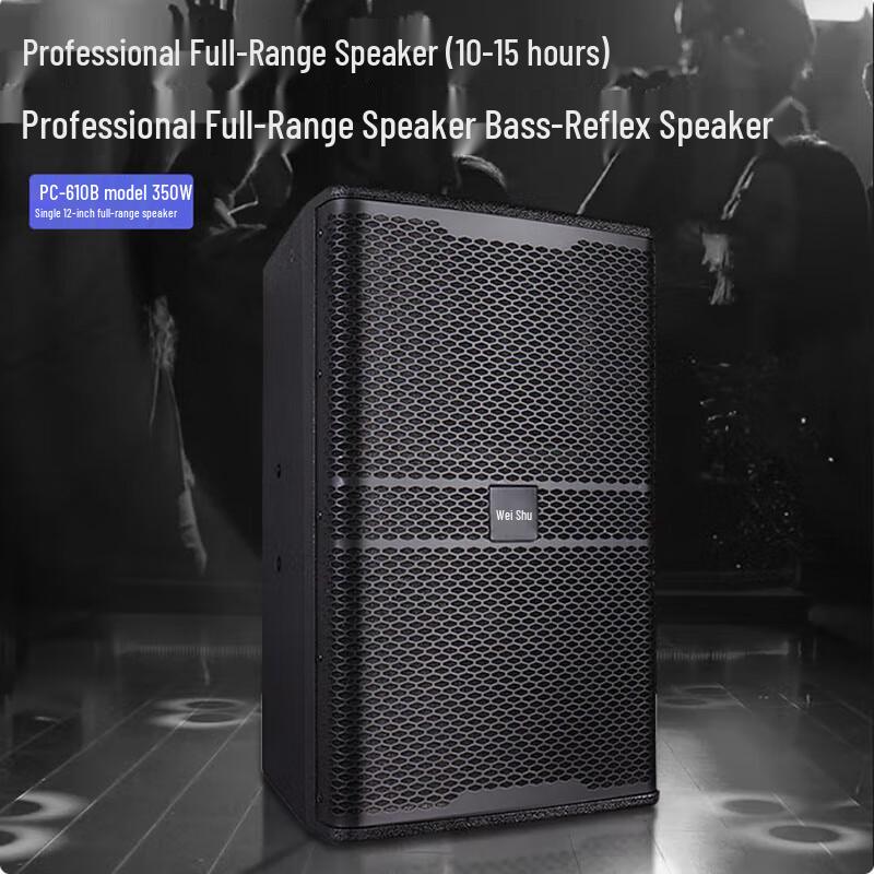 Weishu 12-inch Professional Passive Speaker