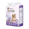 Pet Pee Pads: Disposable, Colorful, Large Quantity Diapers for Dogs