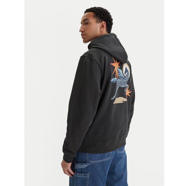 Толстовка RVCA Pegasus EU S