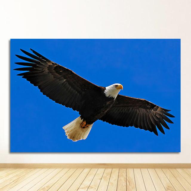 Scandinavian Decor Canvas Pictures for Living Room Eagle Painting Wall Art Quadros Decoracion Animals Posters and Prints Eagle