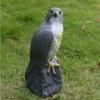 Lifelike Eagle Repellents Sturdy Birds Decoy Hawk Artificial Eagle Statue  Courtyard