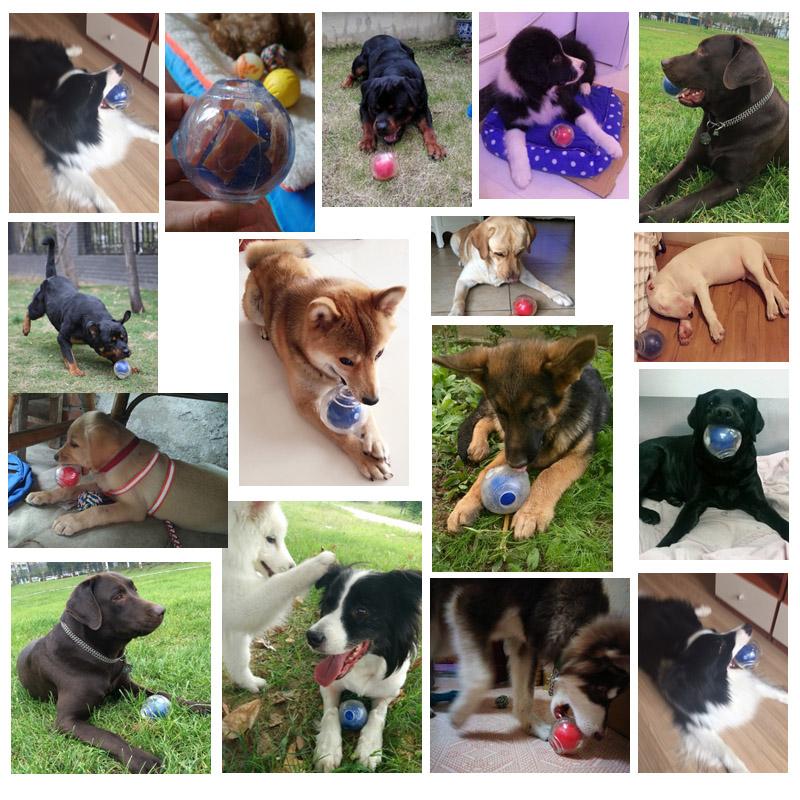 dogs acDog Toy Amazing Squeaker Ball Durable Floatable Springy Bite Resistant Best for Tossing Chasing Foraging Medium Large Dog