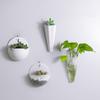 Hanging Flowerpot Eco-friendly Punch-free Plastic Hydroponic Wall Plant Vase for Garden