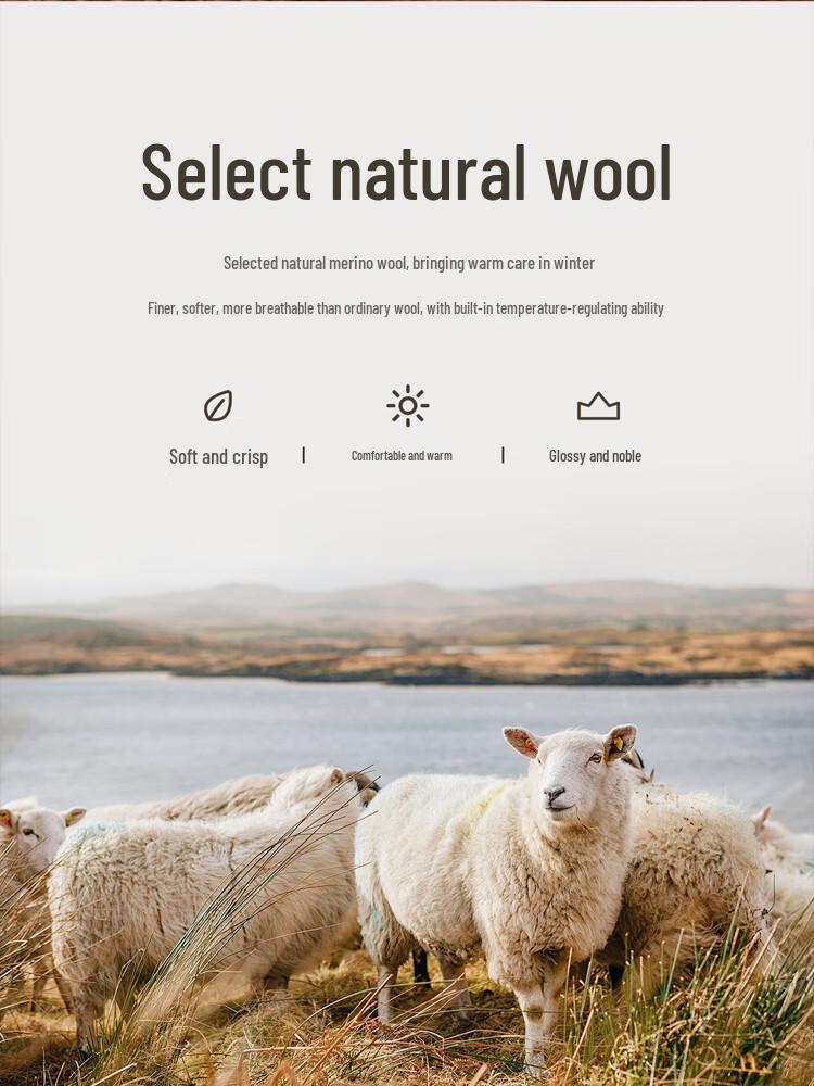 FIRS Men's Pure Wool Half-High Collar Pullover Sweater