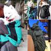 Cycling Travel French Bulldog Pet Carrier for Small Medium Dogs Adjustable Puppy Dog Cat Backpack Carrying Bag Perros Accesorios
