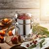 KADAX Juicer Pot 5L Stainless Steel Steamer For Induction Induction Gas Steel 3IN1