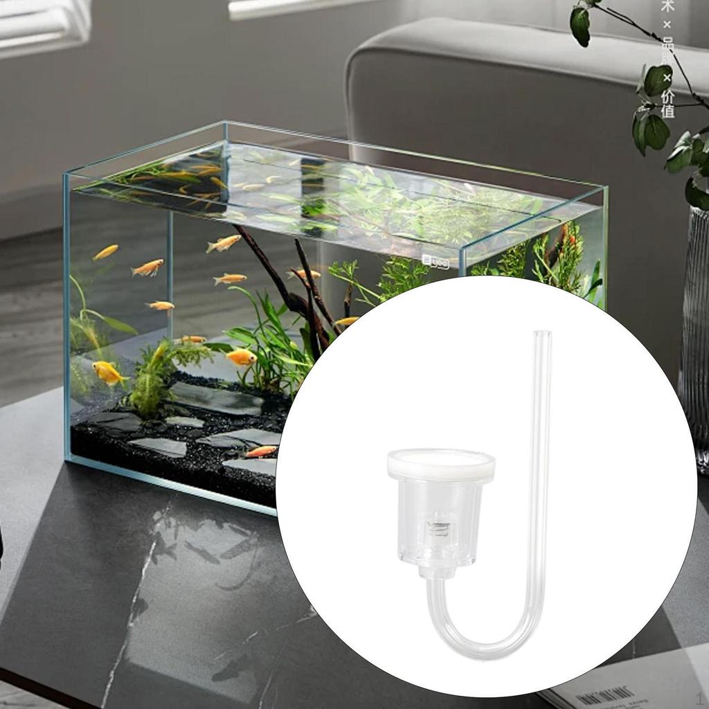 Acrylic Accessories Lightweight Aquarium CO2 System for Aquatic Plants Desk Photo Office