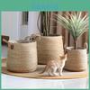 Woven Grass Planter Pot With Breathable Design For Living Room Decor Large Size