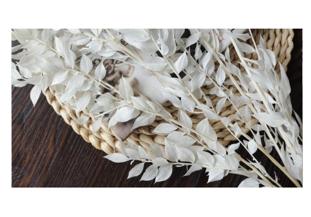 Rich Noble Leaf Dried Panda Bamboo Flowers - Photography Props for Weddings, Living Room, or Hotel Decorations