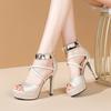 Women's Sandals Waterproof Platform 2025 Summer New Style Fine Heel Anti-slip Fashionable Banquet Roman Sandals for Women