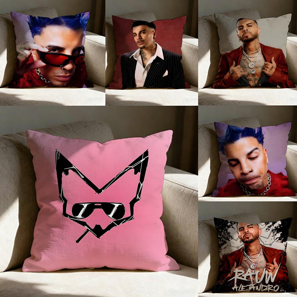 Raul Aalejandro Pillow Case Pillowcase Doublesided Printed Sofa Cushion Bedroom Headboard Pillow