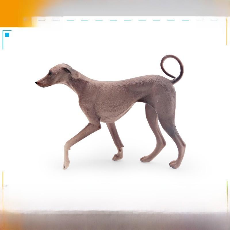 Azawakh Dog Model Collectible Pvc Figure For Kids And Pet Enthusiasts