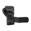 TG10 MASTER 10 OZ Boxing Gloves
