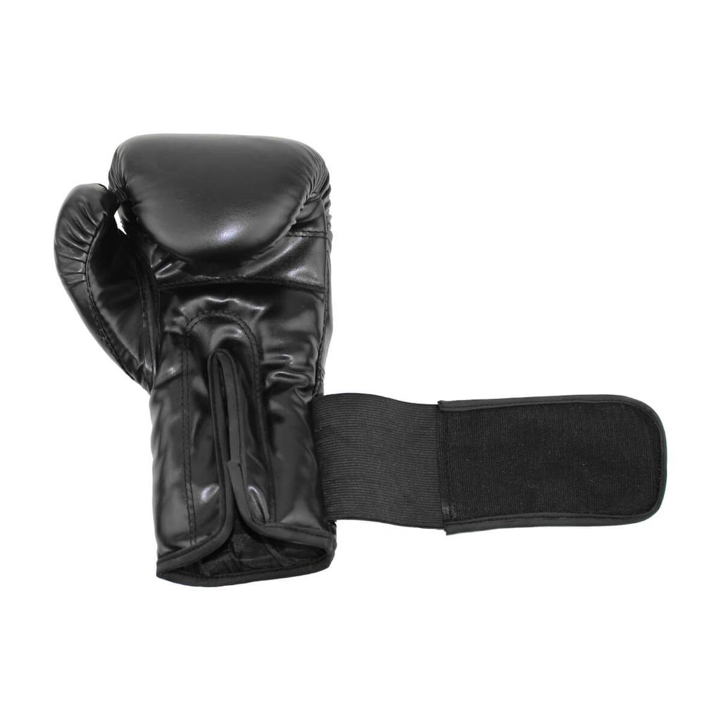 TG10 MASTER 10 OZ Boxing Gloves