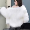 Autumn and Winter New Imitation Fox Fur Coat Female Young Small Short Slim-fitting Encrypted Padded Wool Coat