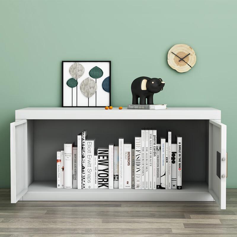 JingZhiSheng Dual-Lock Fingerprint & Password Security Cabinet