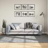 VidaXL Shaggy Rug with Long Pile, Floor Carpet, Area Rug, Rug for Living Room Bedroom Hallway, Modern Grey 375259
