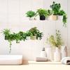 DIY Topfpflanzen Efeublätter Grünpflanze Schmetterling Wandaufkleber Selbstklebend für Mietwohnung Küche Wohnzimmer Wand Neujahrsdekoration