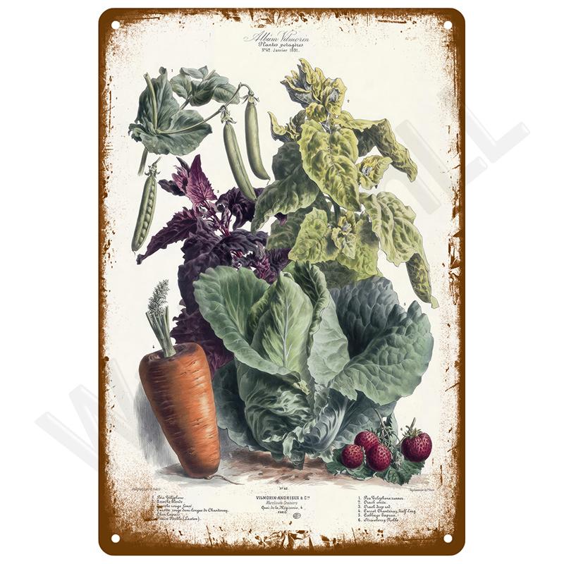 Retro Tin Sign Vintage Metal Signs Plates Posters House Interior Bathroom Wall Art Mural Aesthetic Room Home Decor Decorations