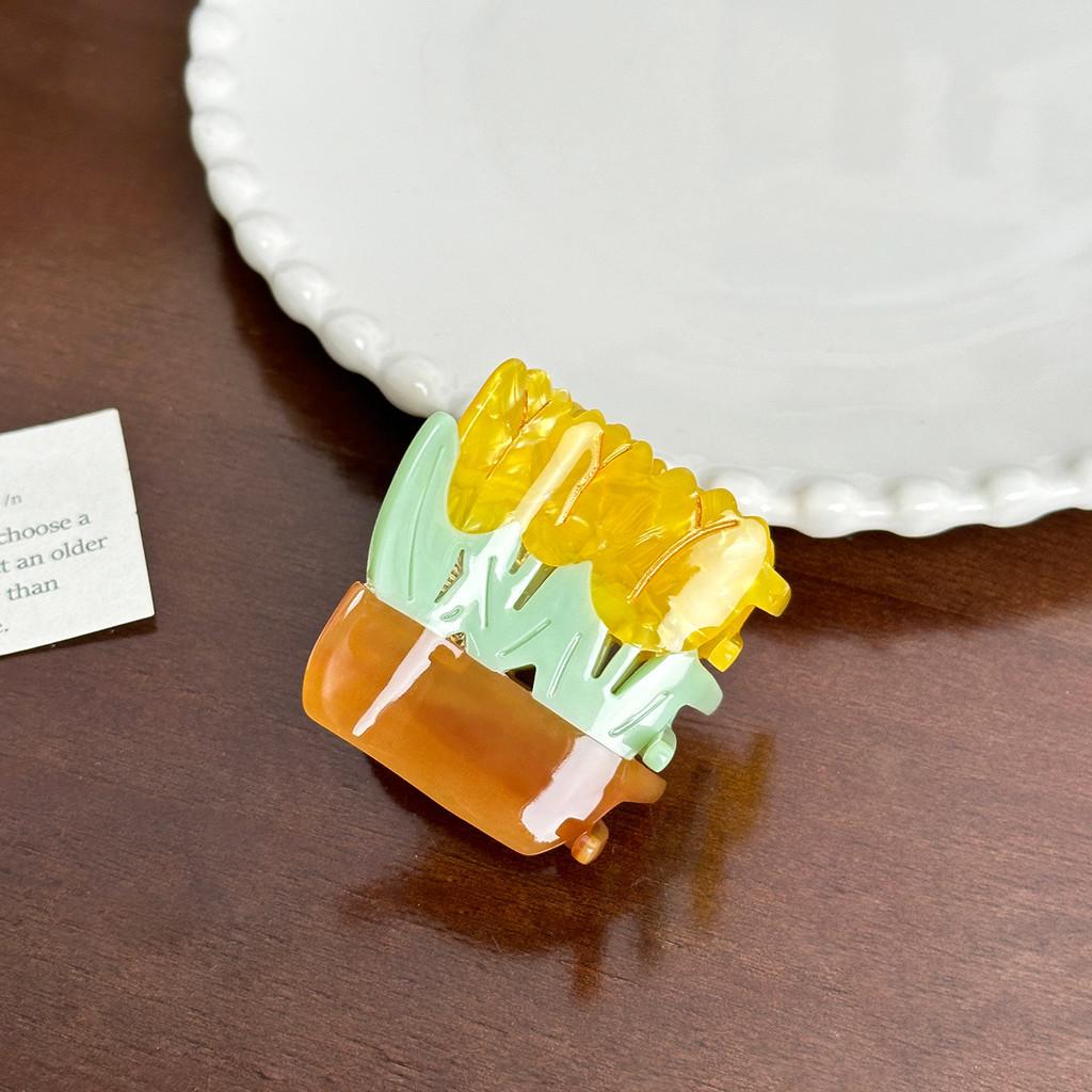 Chic Acetate Hair Claw Clips For Women In Unique Geometric Designs And Colors