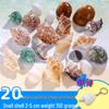 Handmade Decorative Seashells & Starfish for Fish Tanks: Landscaping, Painting, Specimens, Whelks, Hermit Crabs