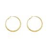 Large Unique High-End Hoop Earrings for Women - 2025 Exaggerated Light Luxury Style